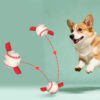Teething & Play Elastic Interactive Dog Chew Toy