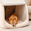 Trendy Striped House Orthopedic Dog Bed - Cozy Hid