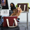 Urban Commuter Color-Block Multi-functional Pet Ca