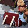 Urban Commuter Color-Block Multi-functional Pet Ca