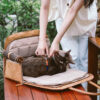 Vogue Eco-friendly Multi-functional Cat Carrier - 