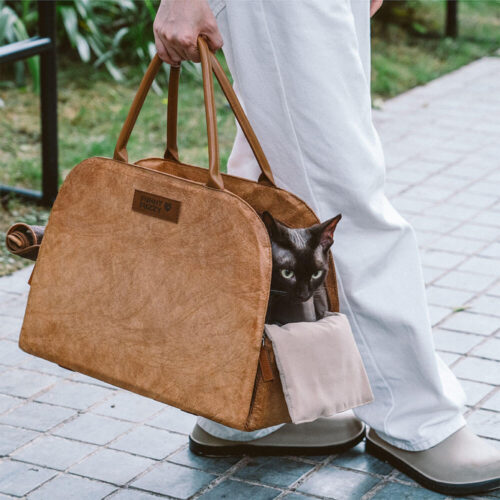 Vogue Eco-friendly Multi-functional Cat Carrier - 