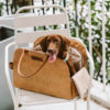Vogue Eco-friendly Multi-functional Pet Travel Bag