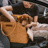 Vogue Eco-friendly Multi-functional Pet Travel Bag