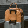 Vogue Eco-friendly Multi-functional Cat Carrier - 