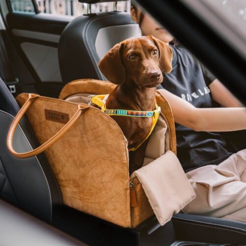Vogue Eco-friendly Multi-functional Pet Travel Bag