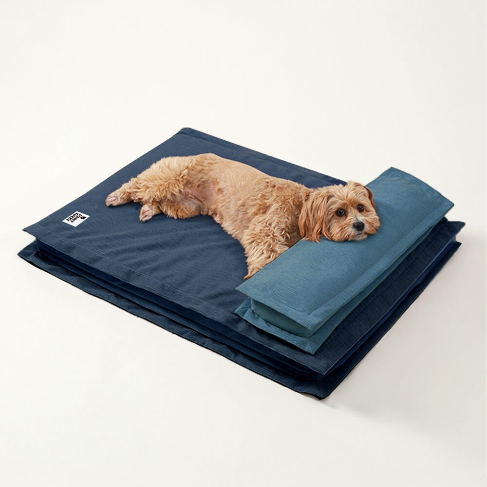 Anti-Anxiety with Sponge Support Deep Sleeping Dog