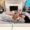 Luxury Super Large Sleep Deeper Oval Bed Human Dog