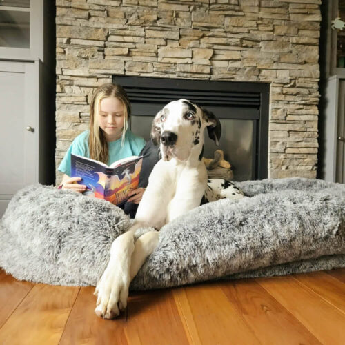 Luxury Super Large Sleep Deeper Oval Bed Human Dog