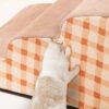 Plain Pattern Pet Climbing Ladder Removable Dog St