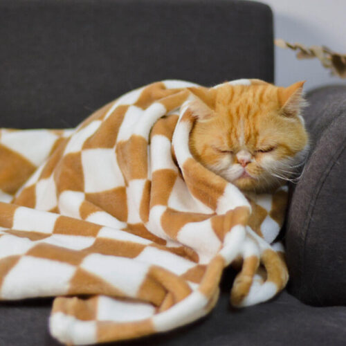 Stylish Chequered Flannel Pet Blanket Dog & Cat Bl