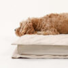 Anti-Anxiety with Sponge Support Deep Sleeping Dog