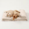 Anti-Anxiety with Sponge Support Deep Sleeping Dog