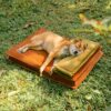 Anti-Anxiety with Sponge Support Deep Sleeping Dog