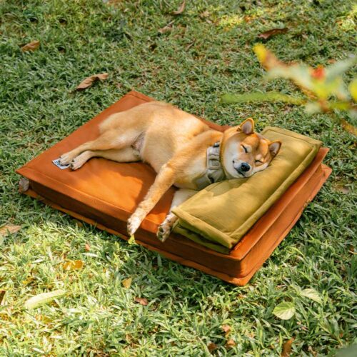 Anti-Anxiety with Sponge Support Deep Sleeping Dog