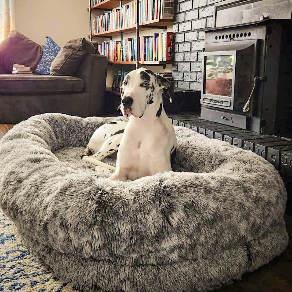 Luxury Super Large Sleep Deeper Oval Bed Human Dog