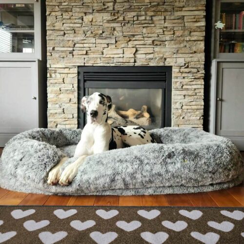 Luxury Super Large Sleep Deeper Oval Bed Human Dog
