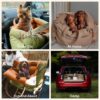 Urban Voyager Dog Car Booster Bed