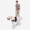Multifunction Hands Free Dog Leash With Safety Sea